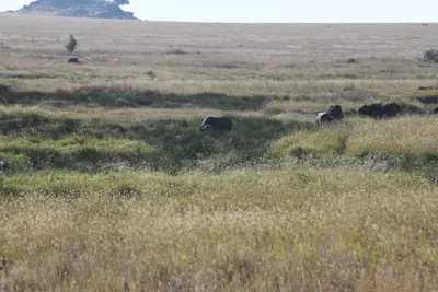 DSC_3828 (Large).JPG